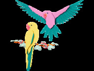 The Fauna Collection – Macaw Parrots