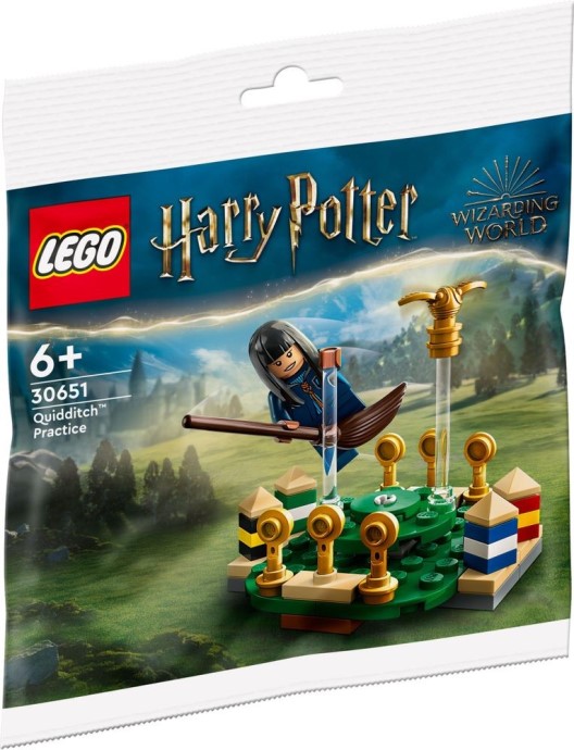 LEGO 30651 Лего 30651 Quidditch Practice Лего 30651 Quidditch Practice купить в Москве и с доставкой по всей России за 1478.00 руб