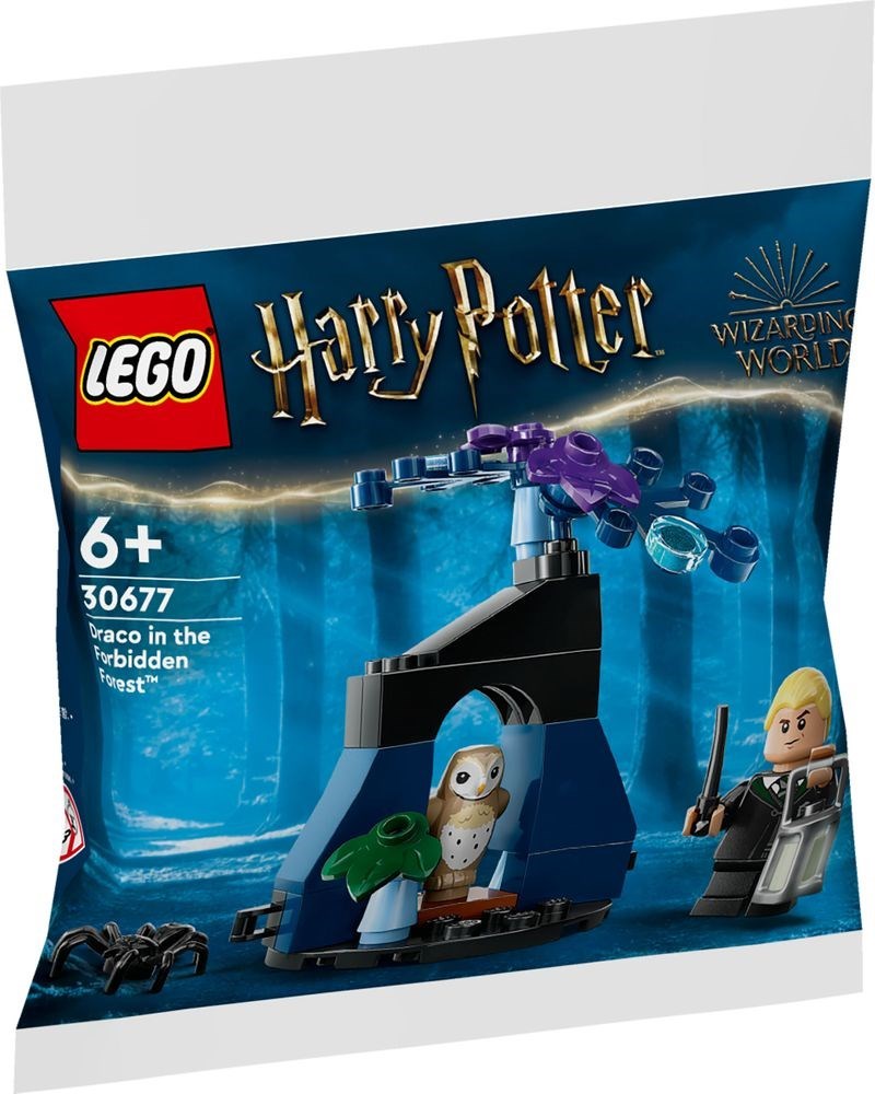 LEGO 30677 Draco in the Forbidden Forest Draco in the Forbidden Forest купить в Москве и с доставкой по всей России за 2376.00 руб