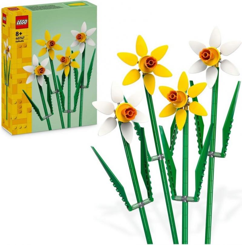 Daffodils купить в Москве и с доставкой по всей России за 1936.00 руб